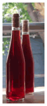rakytnik01 rakytnik01